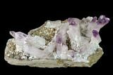 Amethyst Crystal Cluster - Las Vigas, Mexico #137005-1